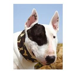 Aqua Coolkeeper Collar Camouflage