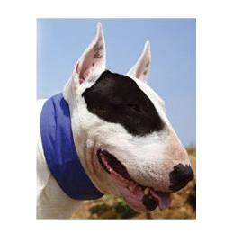 Aqua Coolkeeper Collar Royal Blue