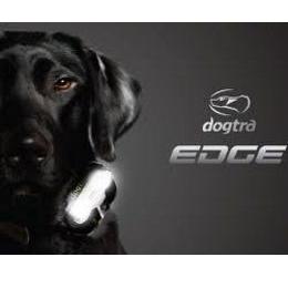 Dogtra E-trainingsband 4500 EDGE