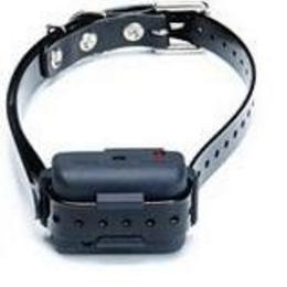 Dogtra E-trainingsband Dummy