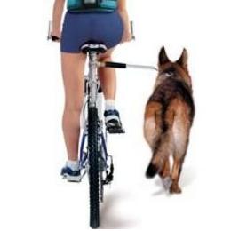 K9 Fietstuig Springer