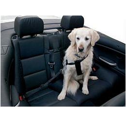 Veiligheidsgordel hond universeel