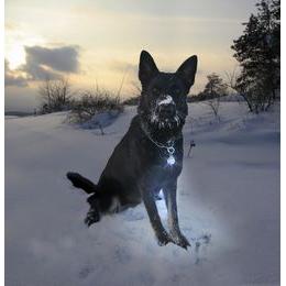 Hotec Blinkie Lampje