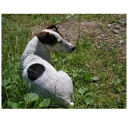 Hotec Prikband RVS eenvoudig mini